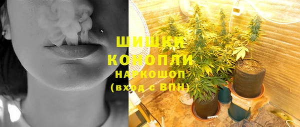 бошки Протвино