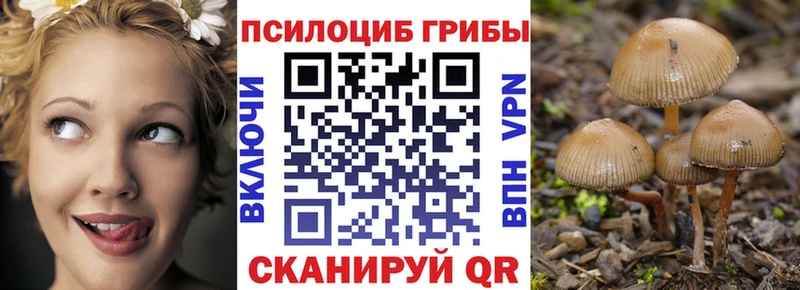 Псилоцибиновые грибы Psilocybine cubensis  Купить где  Кингисепп 